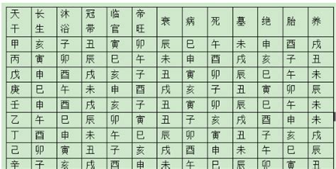 长生八字|八字十二长生解读——胎、养